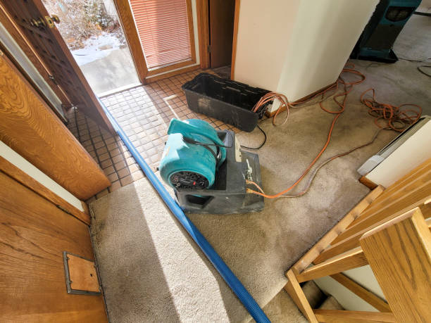 Best Carpet water damage restoration  in Flora, IL