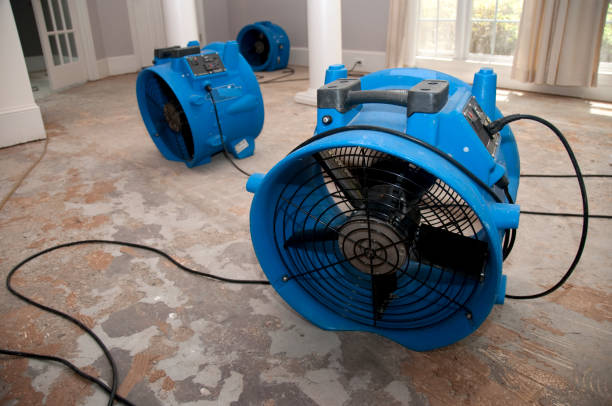Best Emergency water damage restoration  in Flora, IL
