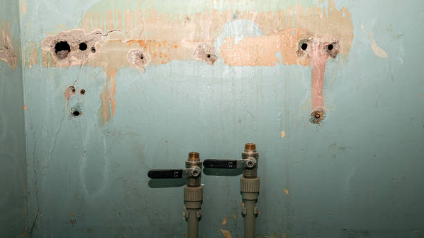  Flora, IL Water damage restoration Pros